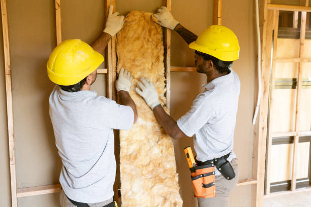 Types of Insulation We Offer in Lamar, TX