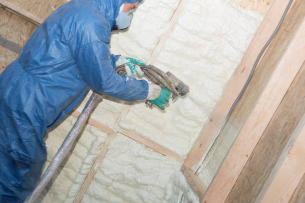 Professional Insulation in Lamar, TX